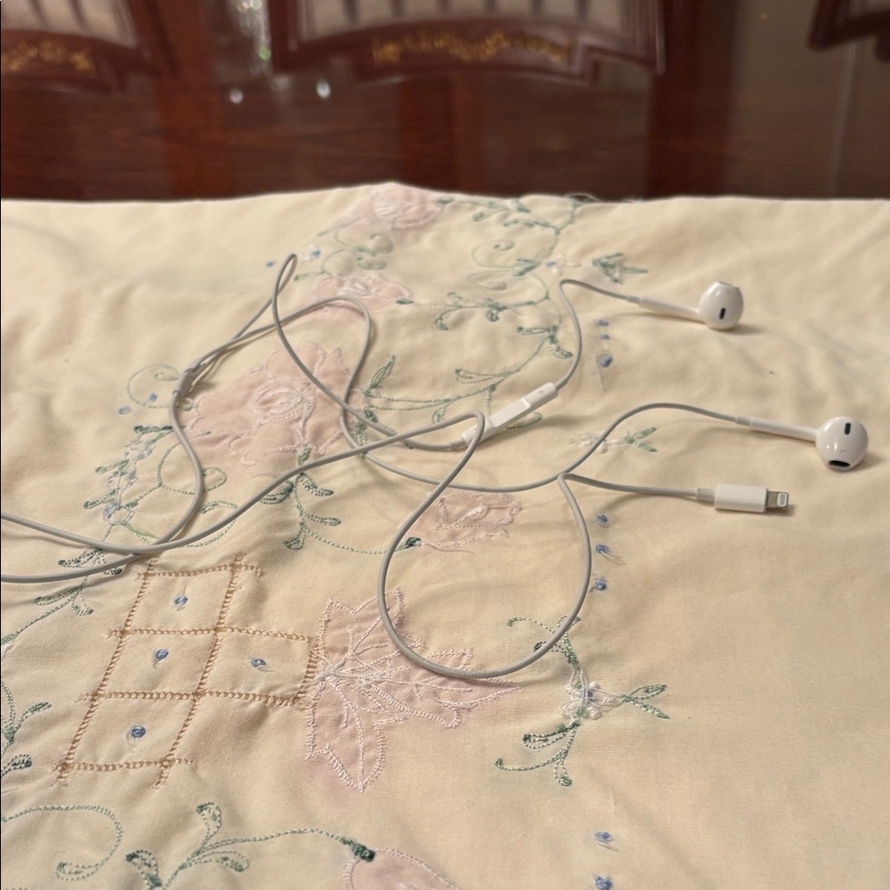 White Wired Earbuds